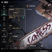 总资产2B 11干员外观 3近战 33传说枪械 烽火：三角洲巅峰 战场：上等兵